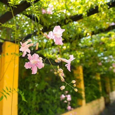 Bellasombra Suites Las Palmas de Gran Canaria