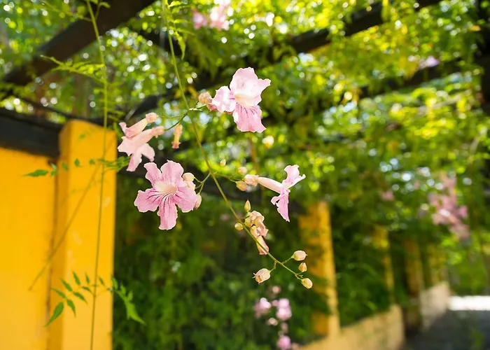 Bellasombra Suites 라스팔마스