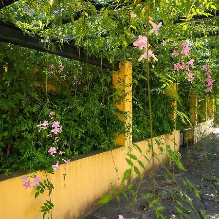 Bellasombra Suites 2* Las Palmas de Gran Canaria