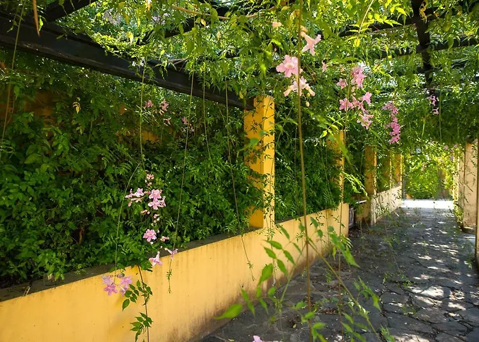 Bellasombra Suites 2* Las Palmas de Gran Canaria